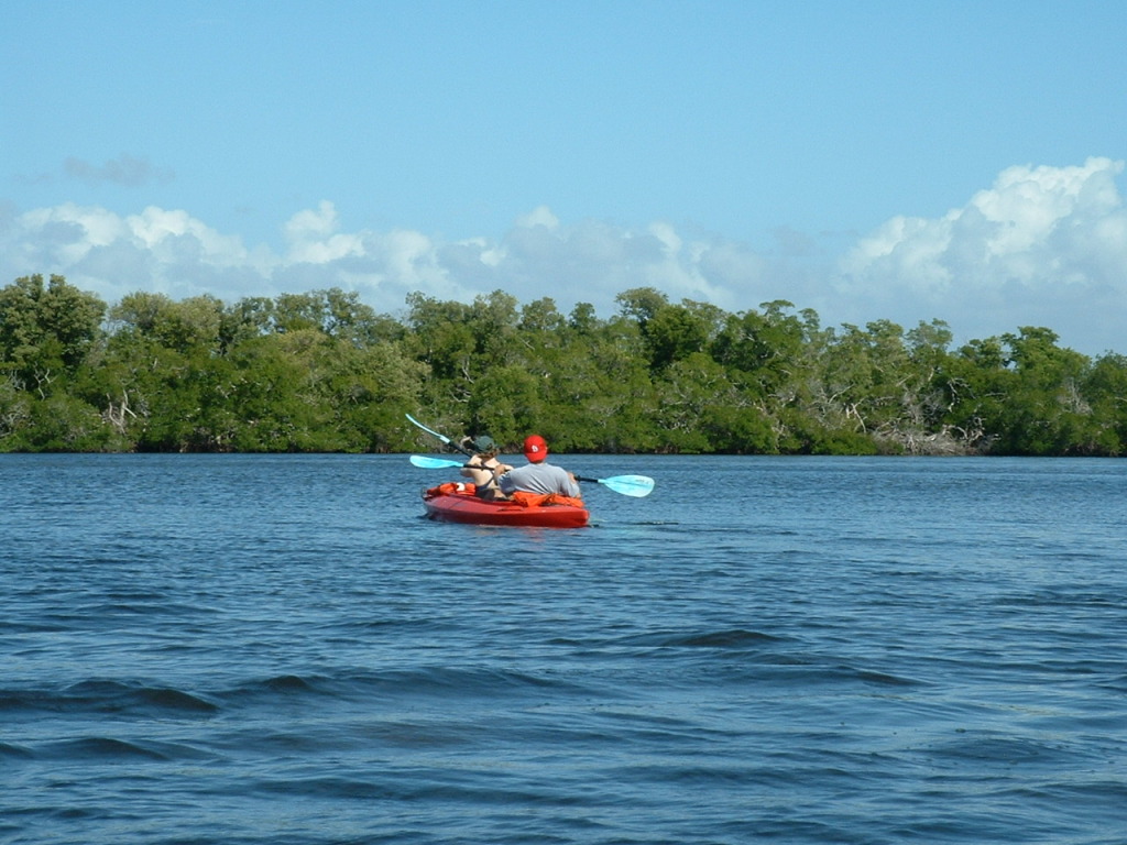Kayaking Bonita Springs - Cape Coral Taxi